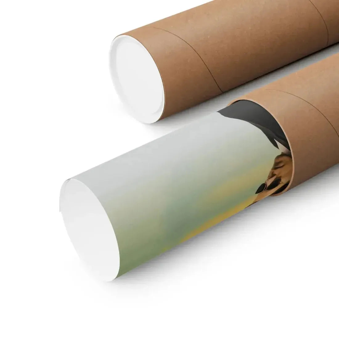 WILD THINGS 1998 - Paper Movie Poster - The Sticker Space