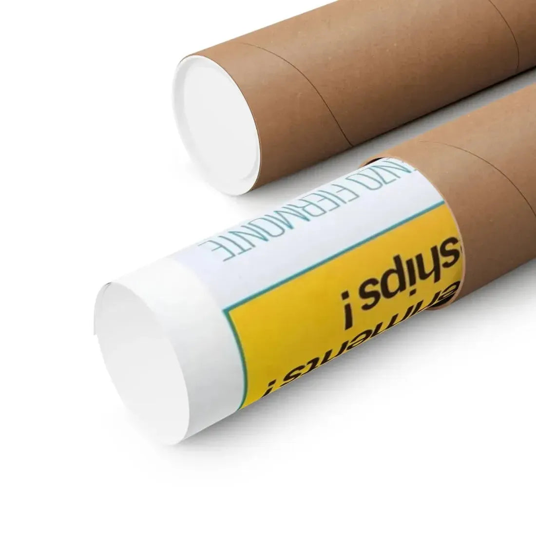 WILD, WILD PLANET 1966 - Paper Movie Poster - The Sticker Space