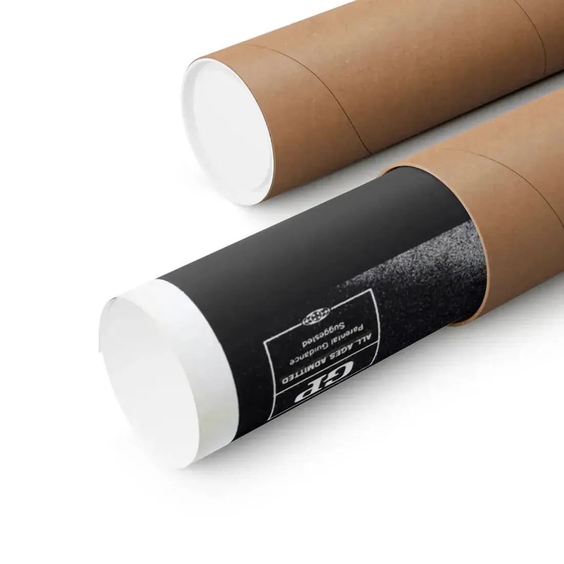 WILLARD 1971 - Paper Movie Poster - The Sticker Space