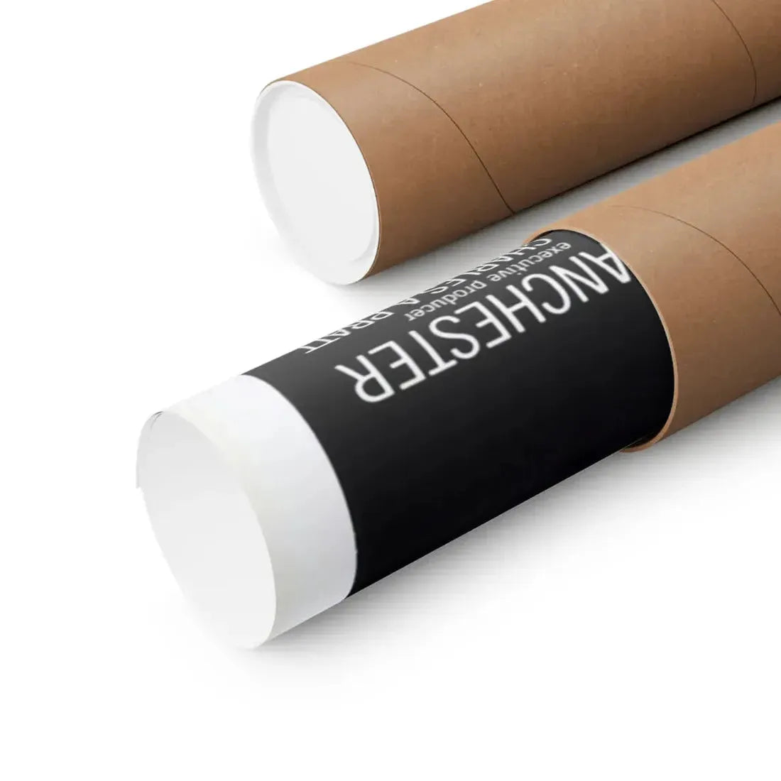 WILLARD 1971 - Paper Movie Poster - The Sticker Space