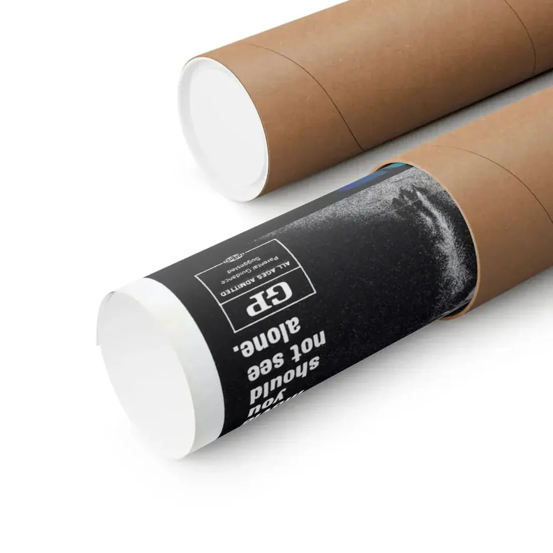 WILLARD 1971 - Paper Movie Poster - The Sticker Space