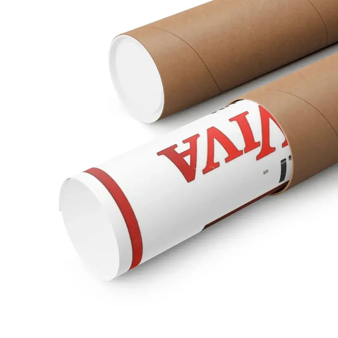 WOMAN BURIED ALIVE 1973 - Paper Movie Poster - The Sticker Space