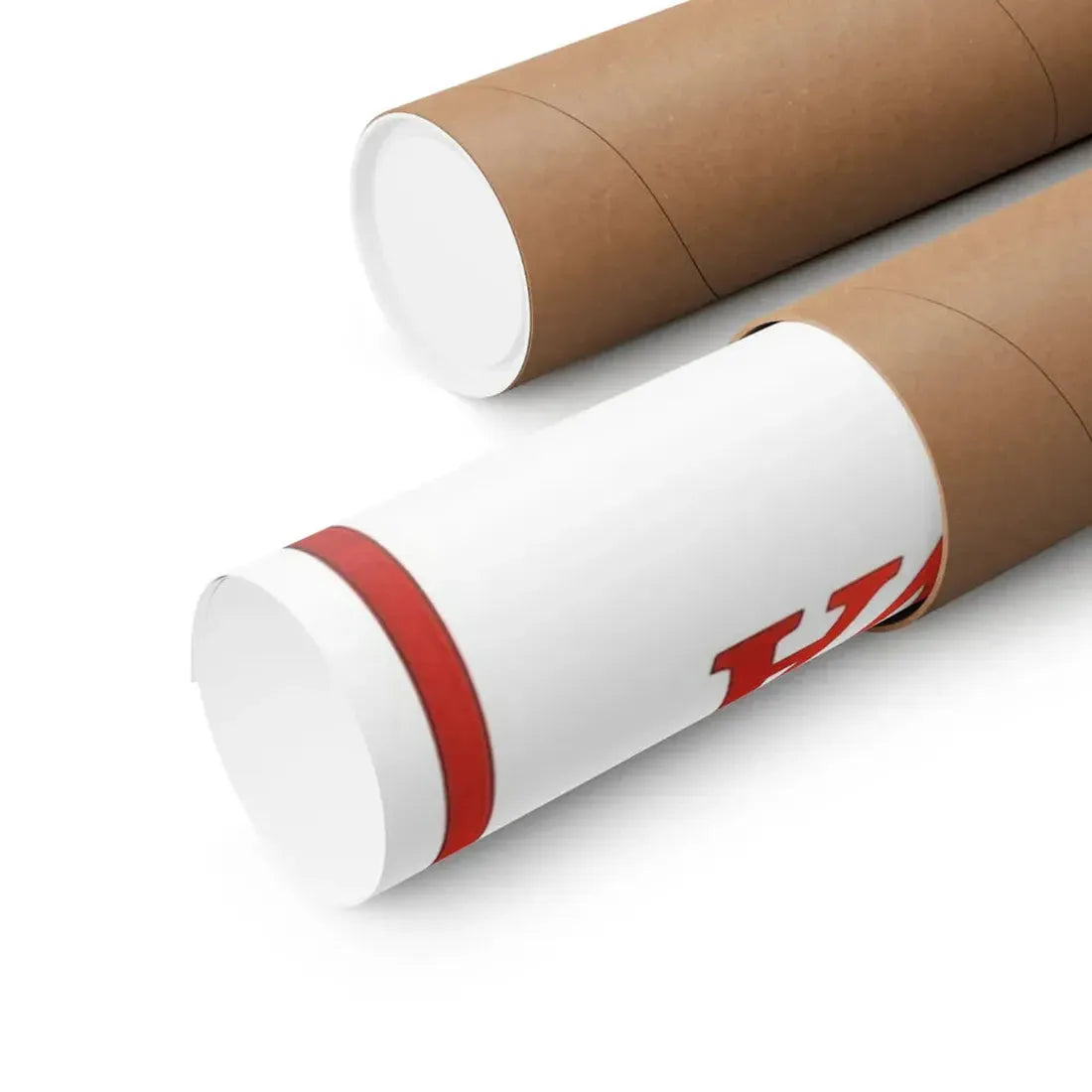 WOMAN BURIED ALIVE 1973 - Paper Movie Poster - The Sticker Space