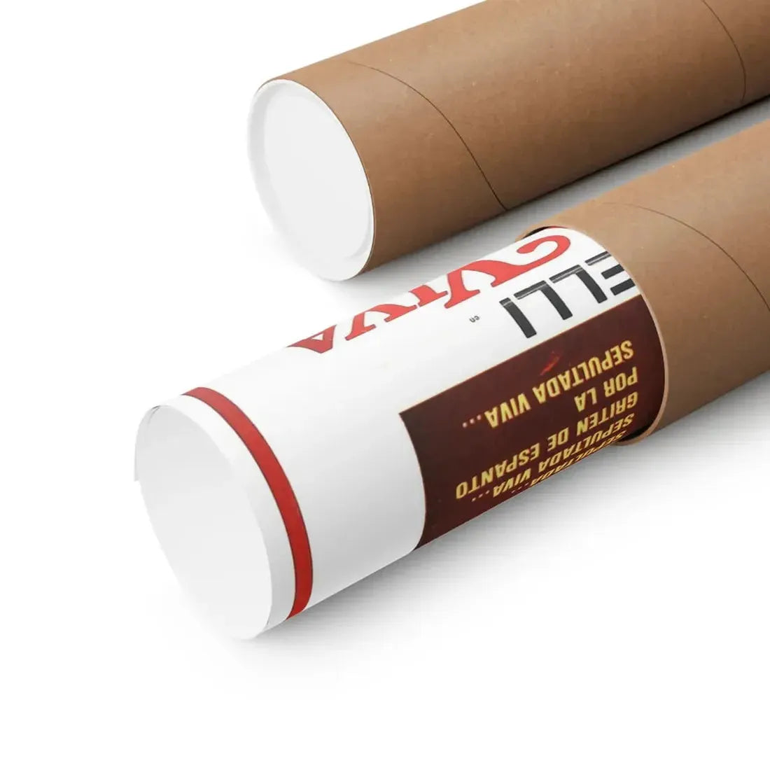 WOMAN BURIED ALIVE 1973 - Paper Movie Poster - The Sticker Space