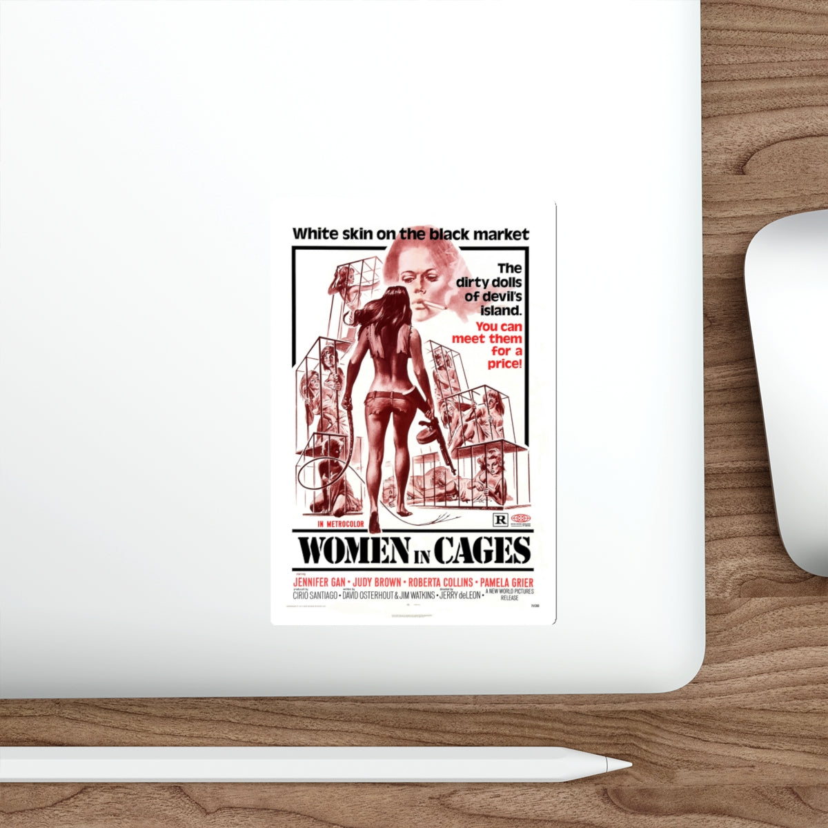 WOMEN IN CAGES 1971 Movie Poster STICKER Vinyl Die-Cut Decal-The Sticker Space