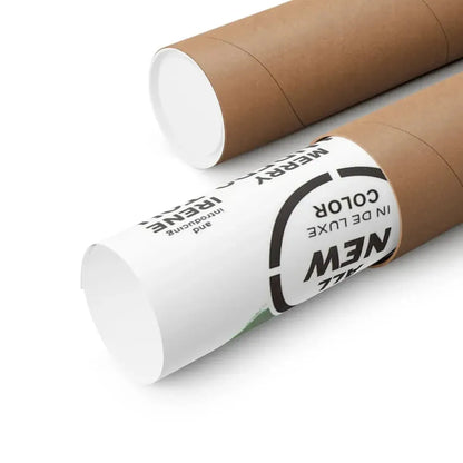 WOMEN OF THE PREHISTORIC PLANET 1966 - Paper Movie Poster - The Sticker Space