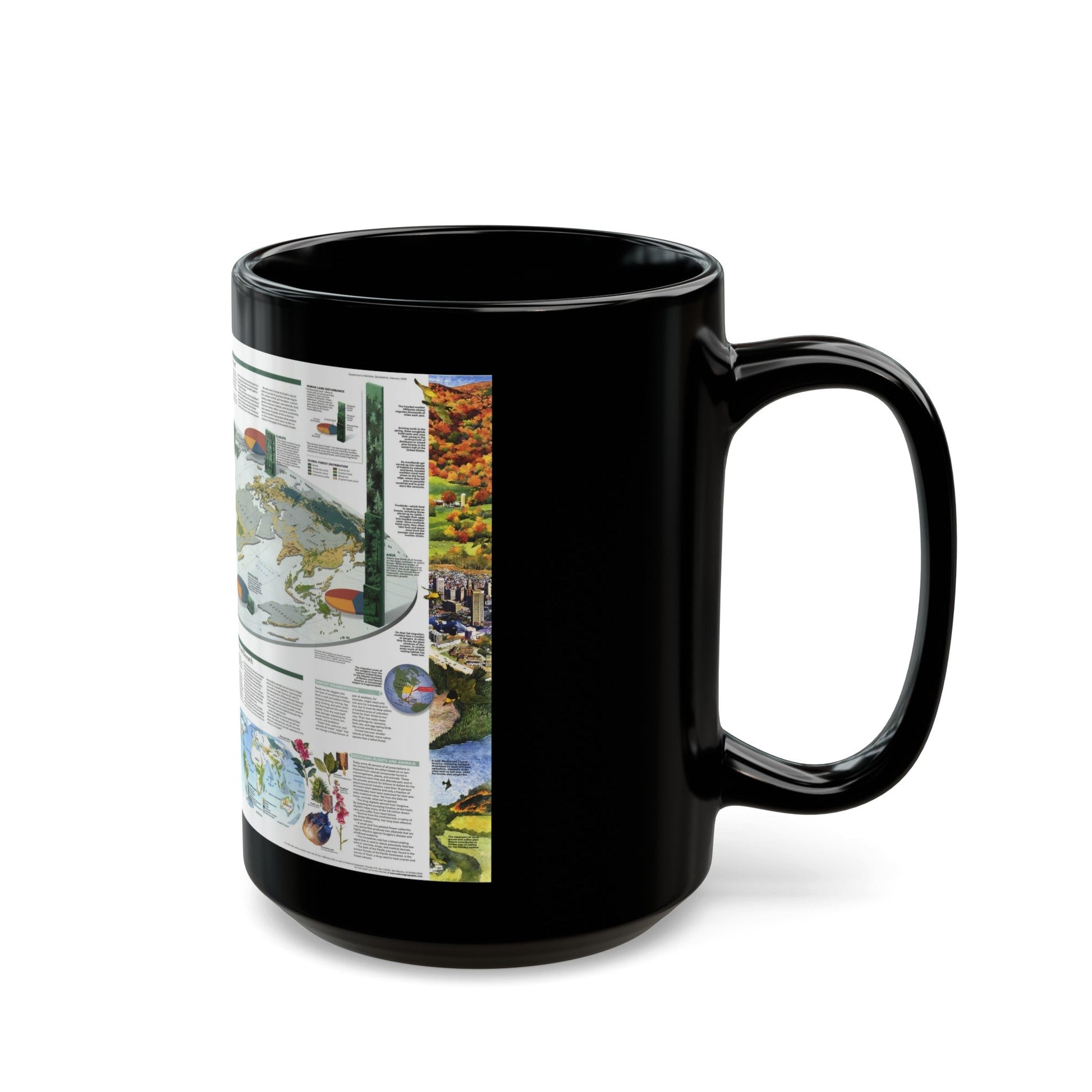 World Map - Biodiversity (1999) (Map) Black Coffee Mug-The Sticker Space