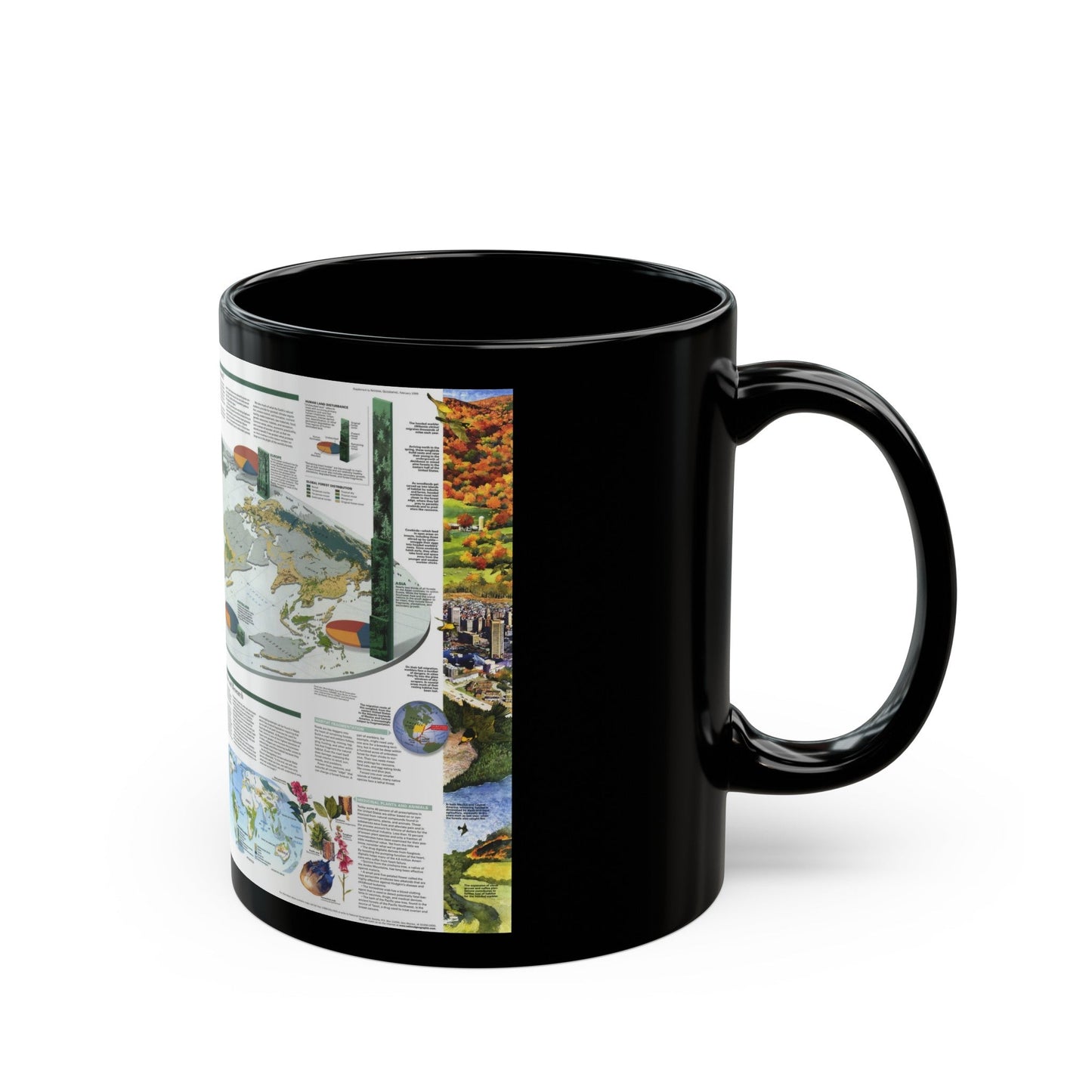 World Map - Biodiversity (1999) (Map) Black Coffee Mug-The Sticker Space