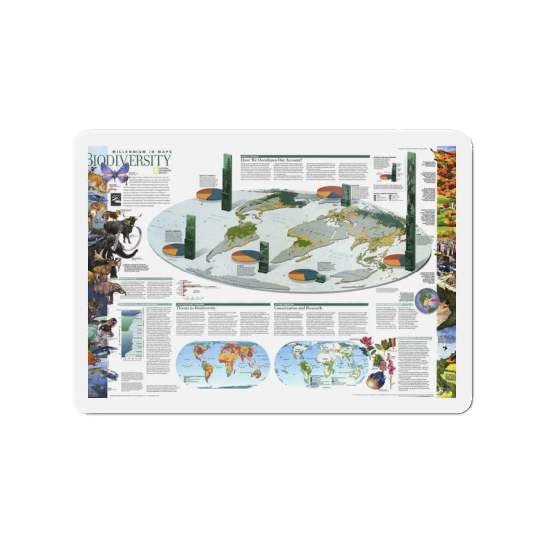 World Map - Biodiversity (1999) (Map) Refrigerator Magnet 2 Inch - The Sticker Space