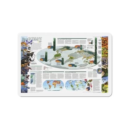 World Map - Biodiversity (1999) (Map) Refrigerator Magnet 3 Inch - The Sticker Space