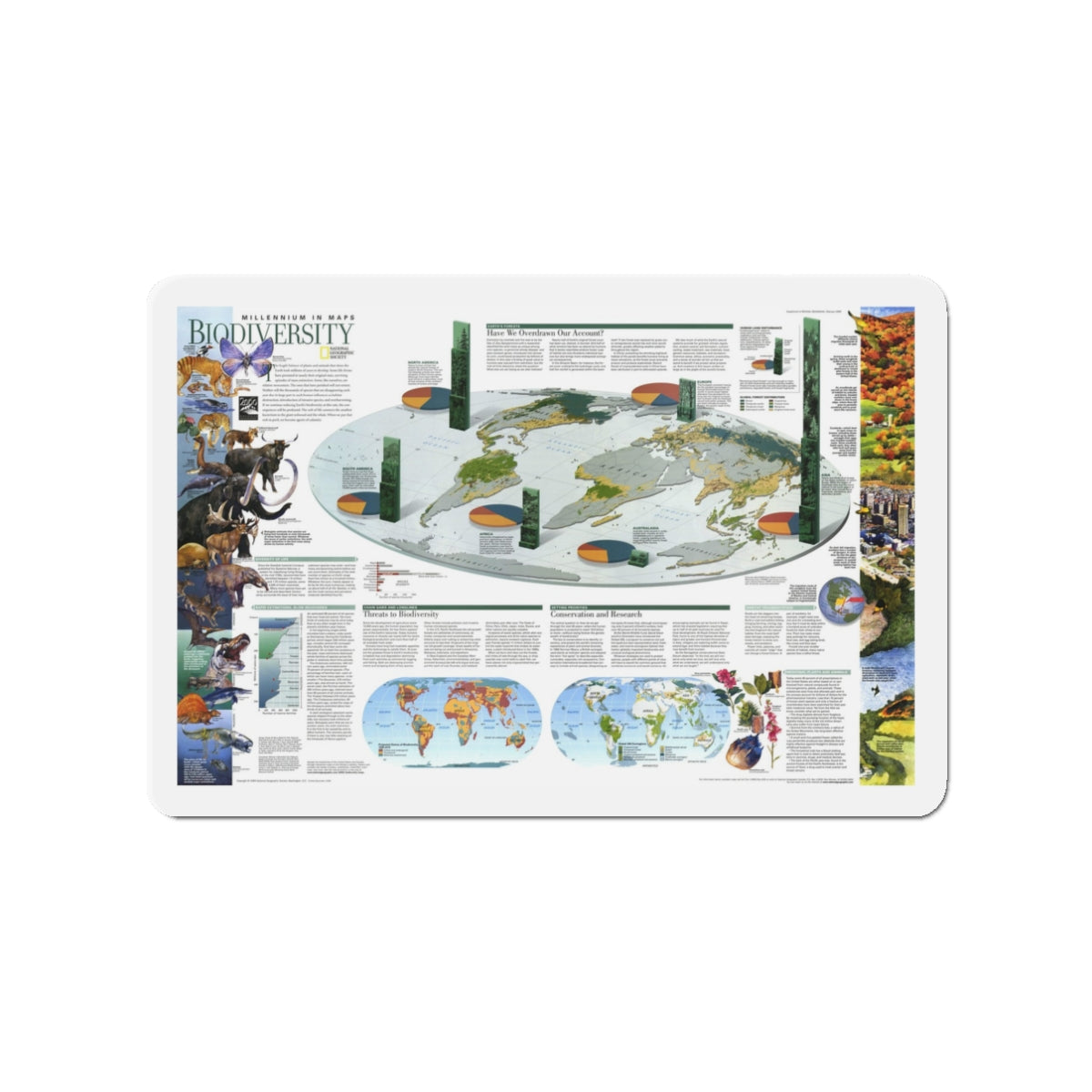 World Map - Biodiversity (1999) (Map) Refrigerator Magnet-3" x 3"-The Sticker Space