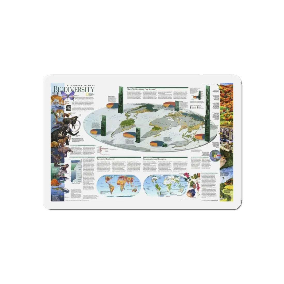 World Map - Biodiversity (1999) (Map) Refrigerator Magnet 6 Inch - The Sticker Space