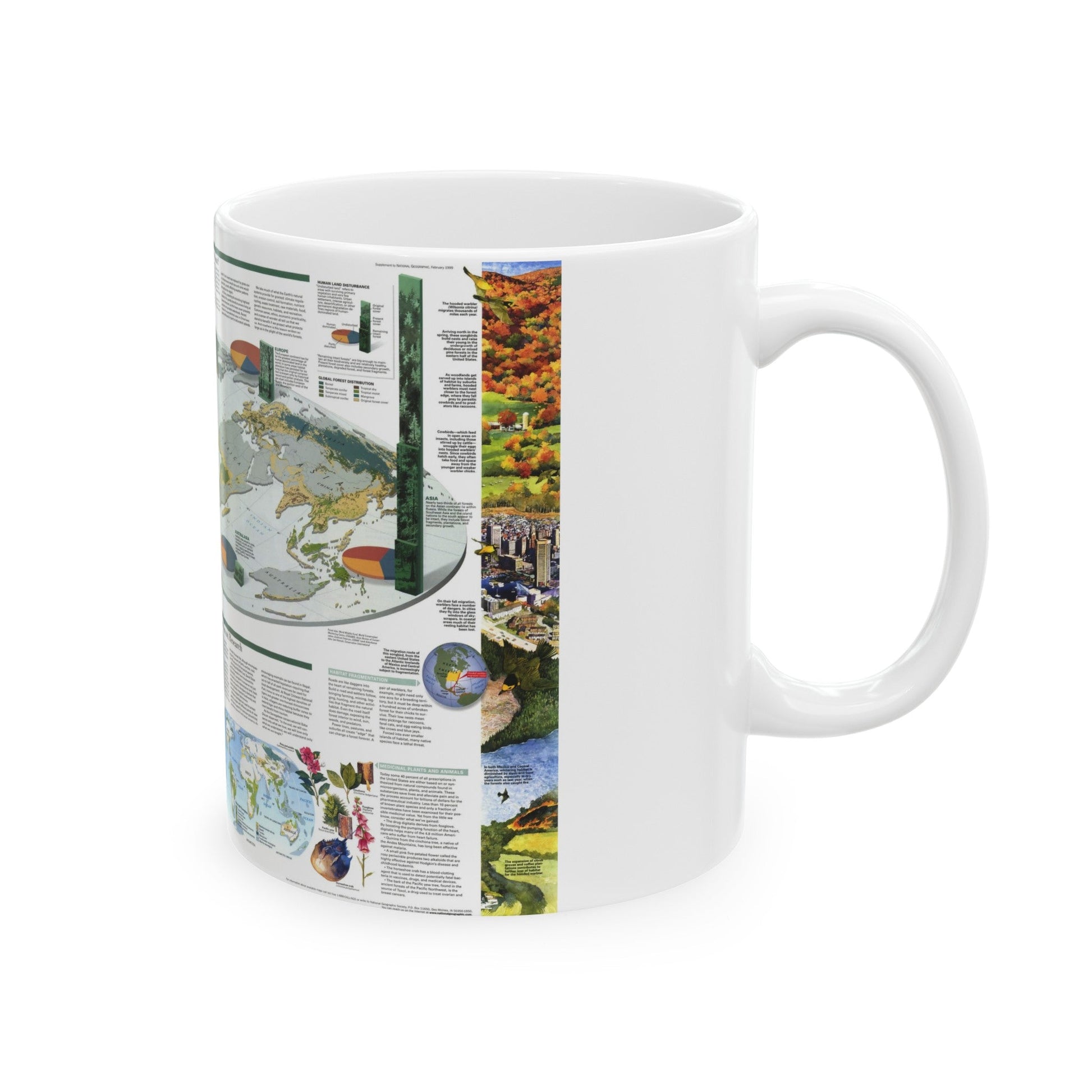 World Map - Biodiversity (1999) (Map) White Coffee Mug-The Sticker Space