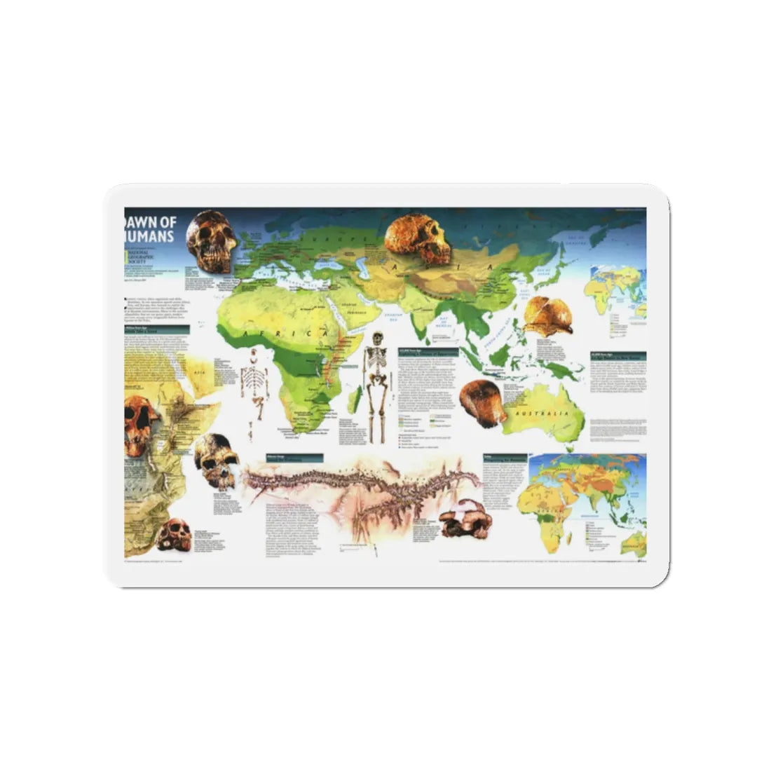 World Map - Dawn of Humans (1997) (Map) Refrigerator Magnet 2 Inch - The Sticker Space