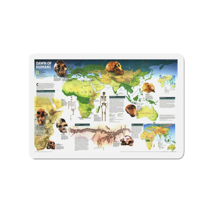 World Map - Dawn of Humans (1997) (Map) Refrigerator Magnet 3 Inch - The Sticker Space