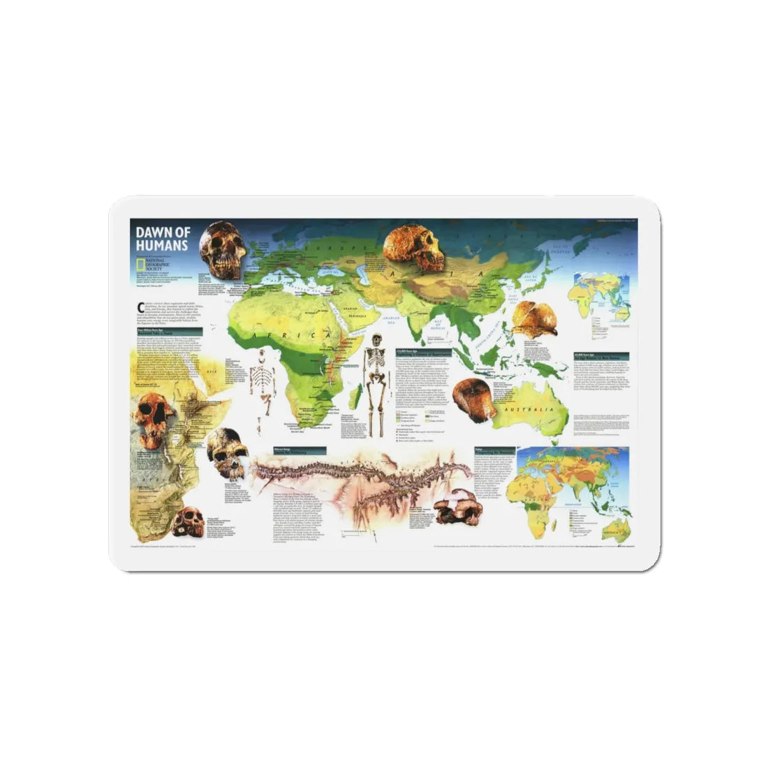 World Map - Dawn of Humans (1997) (Map) Refrigerator Magnet 4 Inch - The Sticker Space