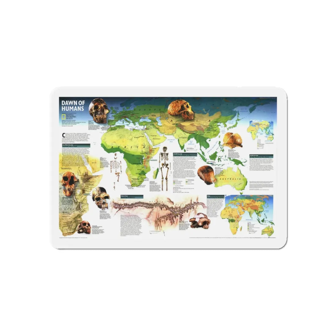 World Map - Dawn of Humans (1997) (Map) Refrigerator Magnet 5 Inch - The Sticker Space