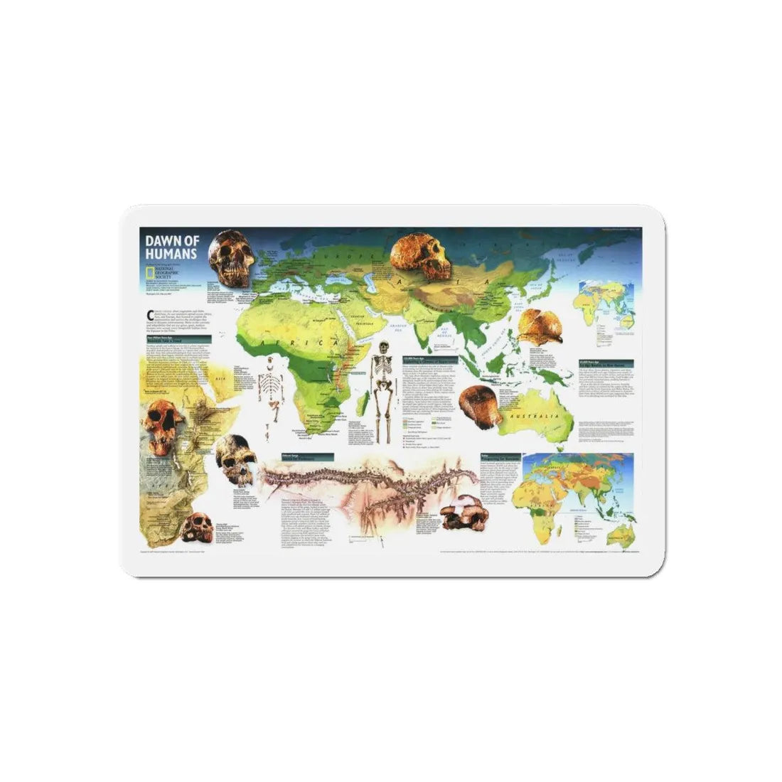 World Map - Dawn of Humans (1997) (Map) Refrigerator Magnet 6 Inch - The Sticker Space