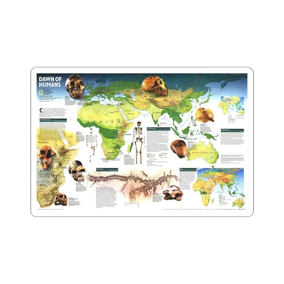 World Map - Dawn of Humans (1997) (Map) STICKER Vinyl Kiss-Cut Decal 6 Inch White - The Sticker Space