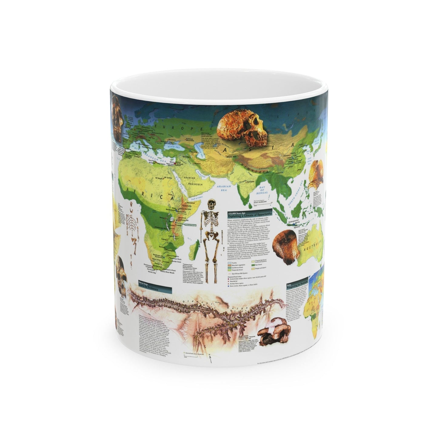 World Map - Dawn of Humans (1997) (Map) White Coffee Mug-11oz-The Sticker Space