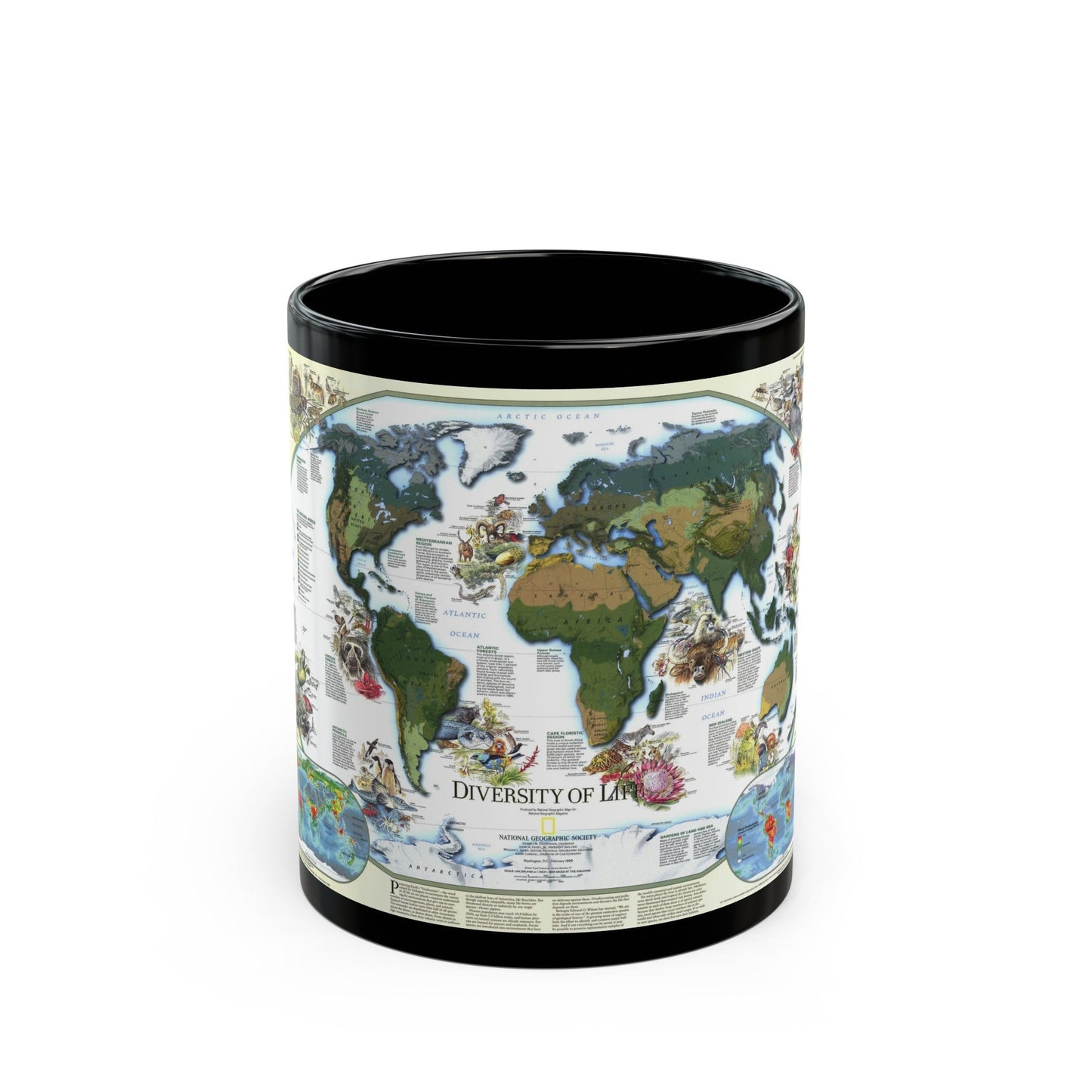 World Map - Diversity of Life (1999) (Map) Black Coffee Mug-11oz-The Sticker Space