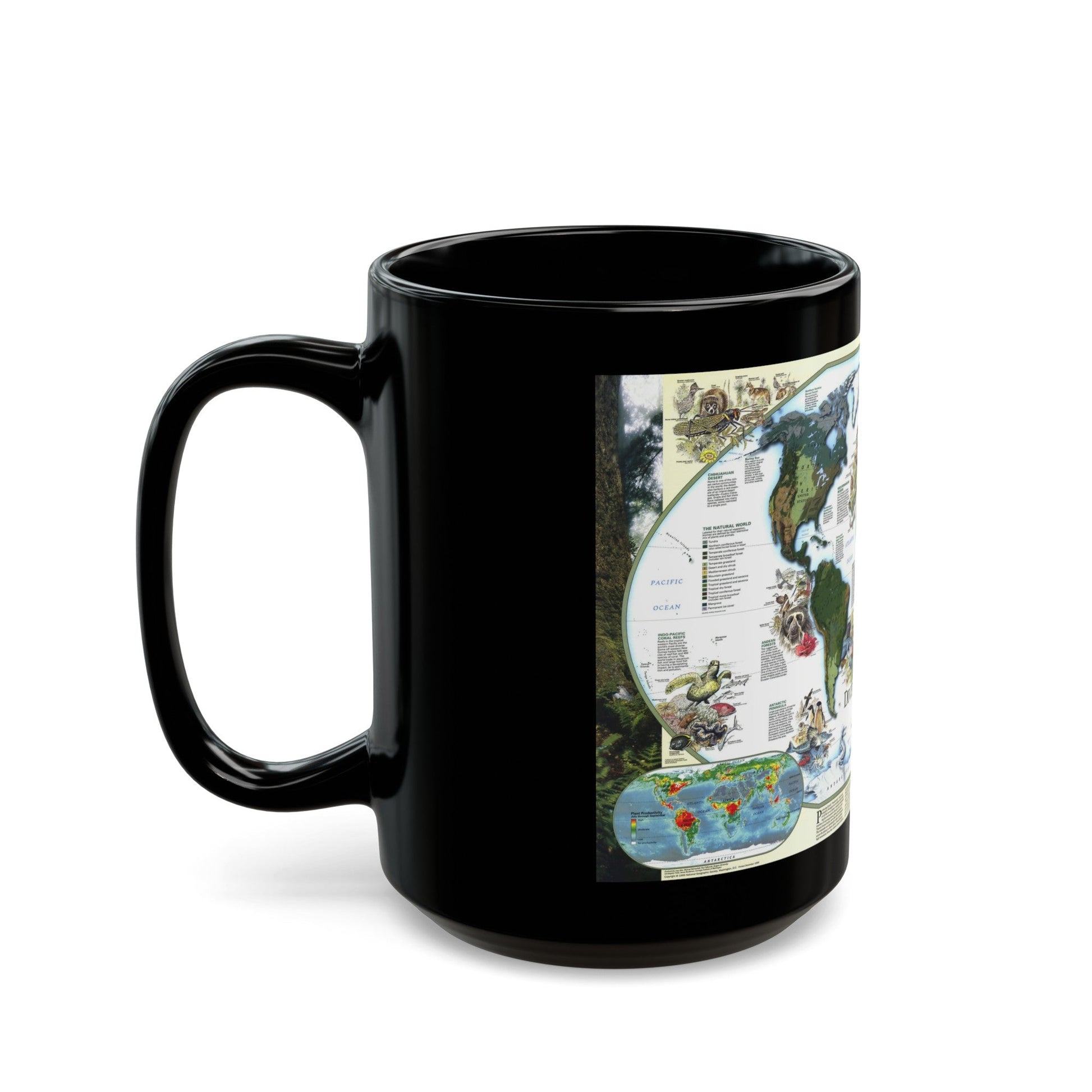 World Map - Diversity of Life (1999) (Map) Black Coffee Mug-The Sticker Space