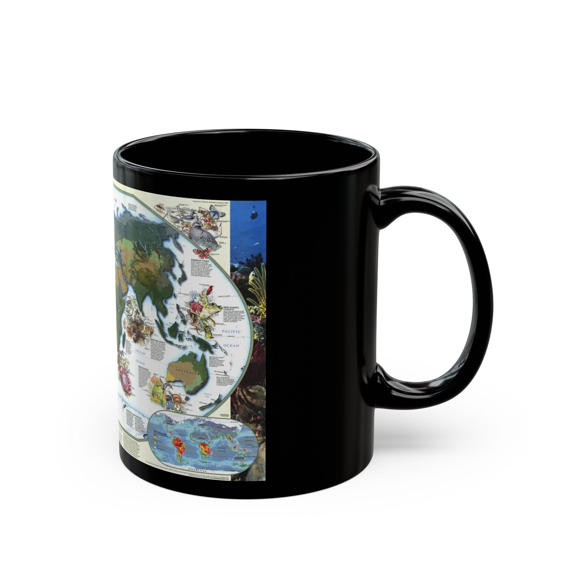 World Map - Diversity of Life (1999) (Map) Black Coffee Mug-The Sticker Space