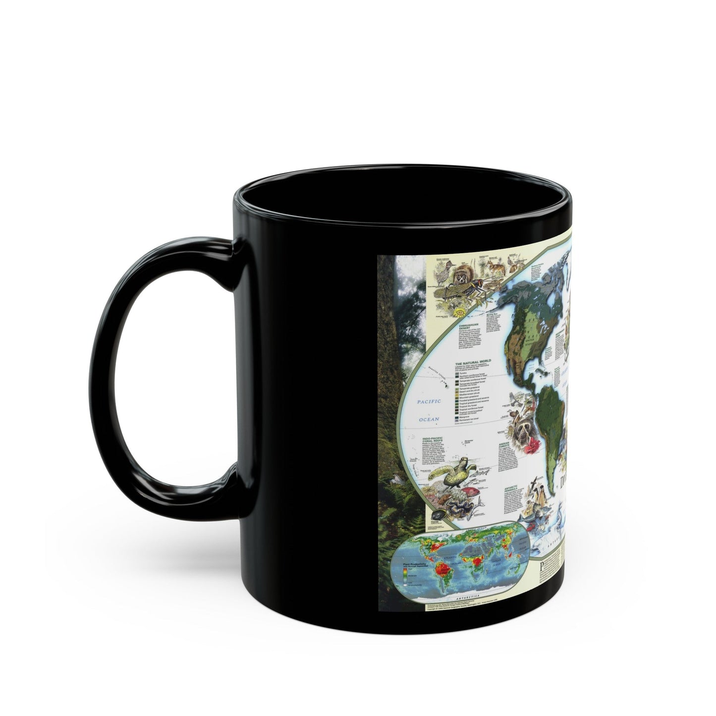 World Map - Diversity of Life (1999) (Map) Black Coffee Mug-The Sticker Space