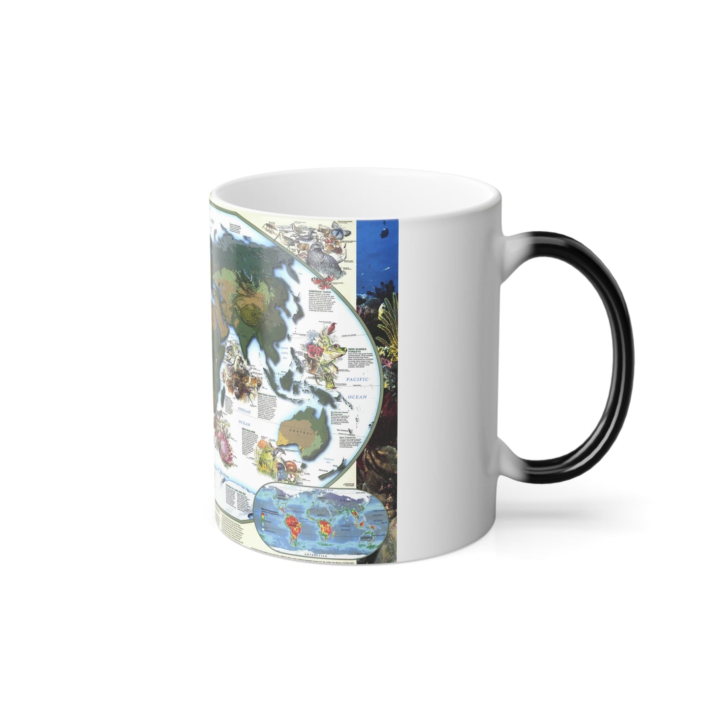 World Map - Diversity of Life (1999) (Map) Color Changing Mug 11oz-11oz-The Sticker Space