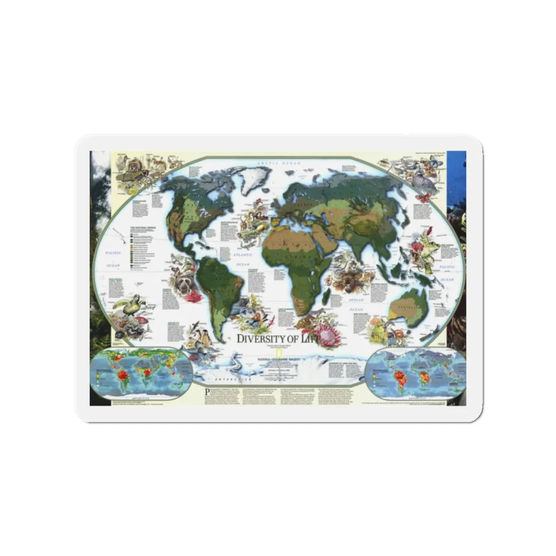 World Map - Diversity of Life (1999) (Map) Refrigerator Magnet 2 Inch - The Sticker Space