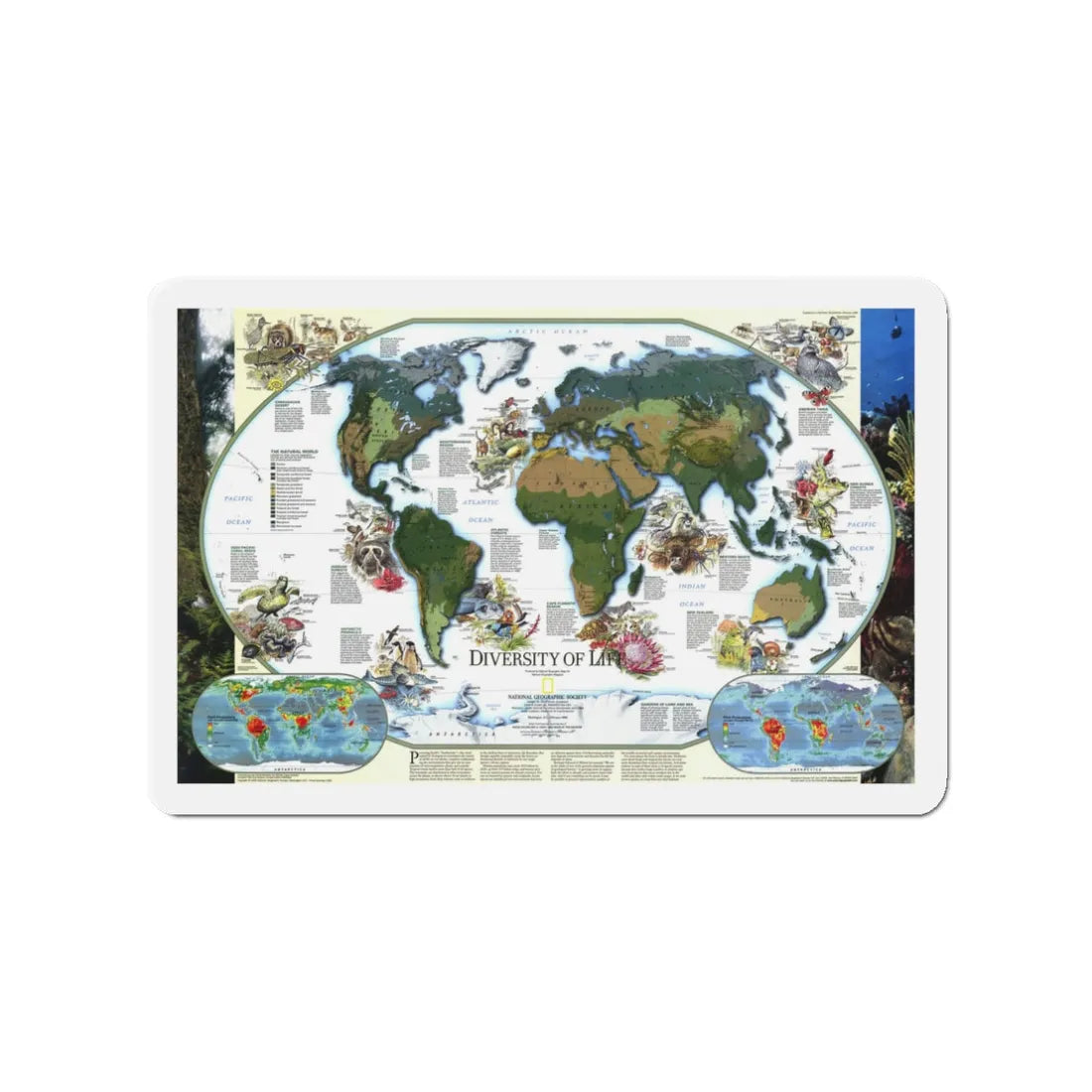 World Map - Diversity of Life (1999) (Map) Refrigerator Magnet 3 Inch - The Sticker Space