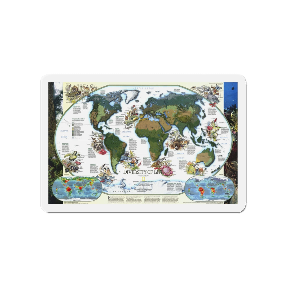 World Map - Diversity of Life (1999) (Map) Refrigerator Magnet-4" x 4"-The Sticker Space