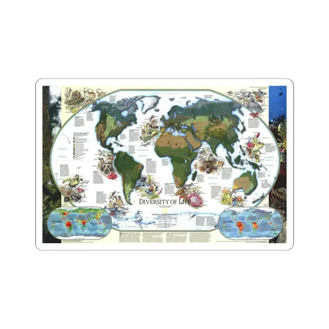 World Map - Diversity of Life (1999) (Map) STICKER Vinyl Kiss-Cut Decal 3 Inch White - The Sticker Space