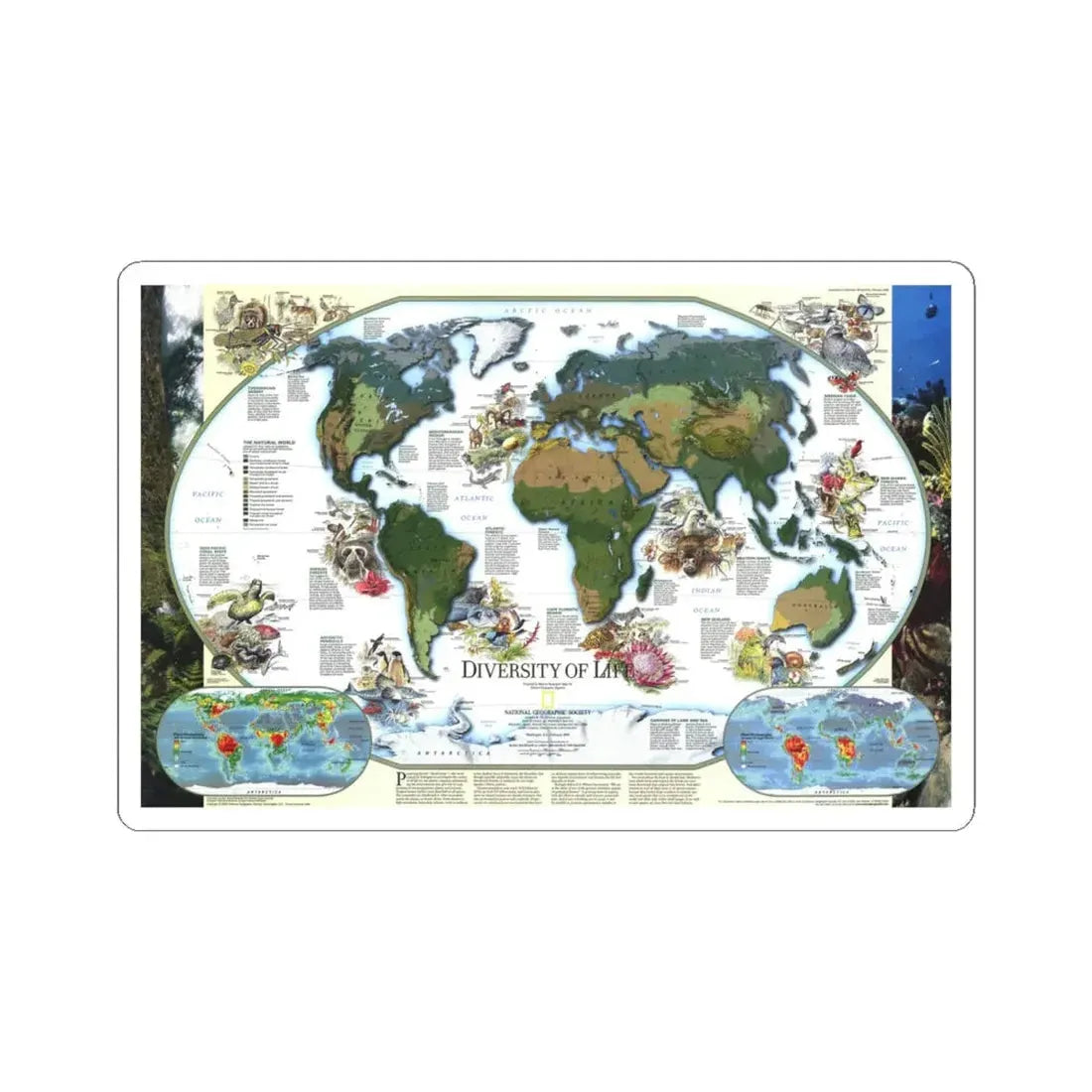 World Map - Diversity of Life (1999) (Map) STICKER Vinyl Kiss-Cut Decal 6 Inch White - The Sticker Space
