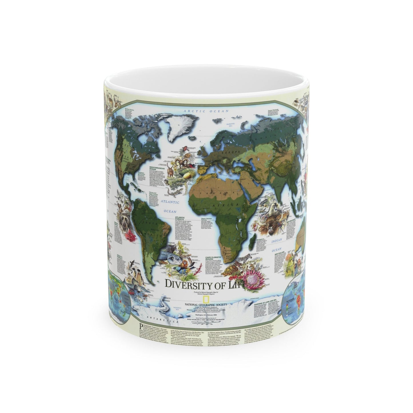 World Map - Diversity of Life (1999) (Map) White Coffee Mug-11oz-The Sticker Space