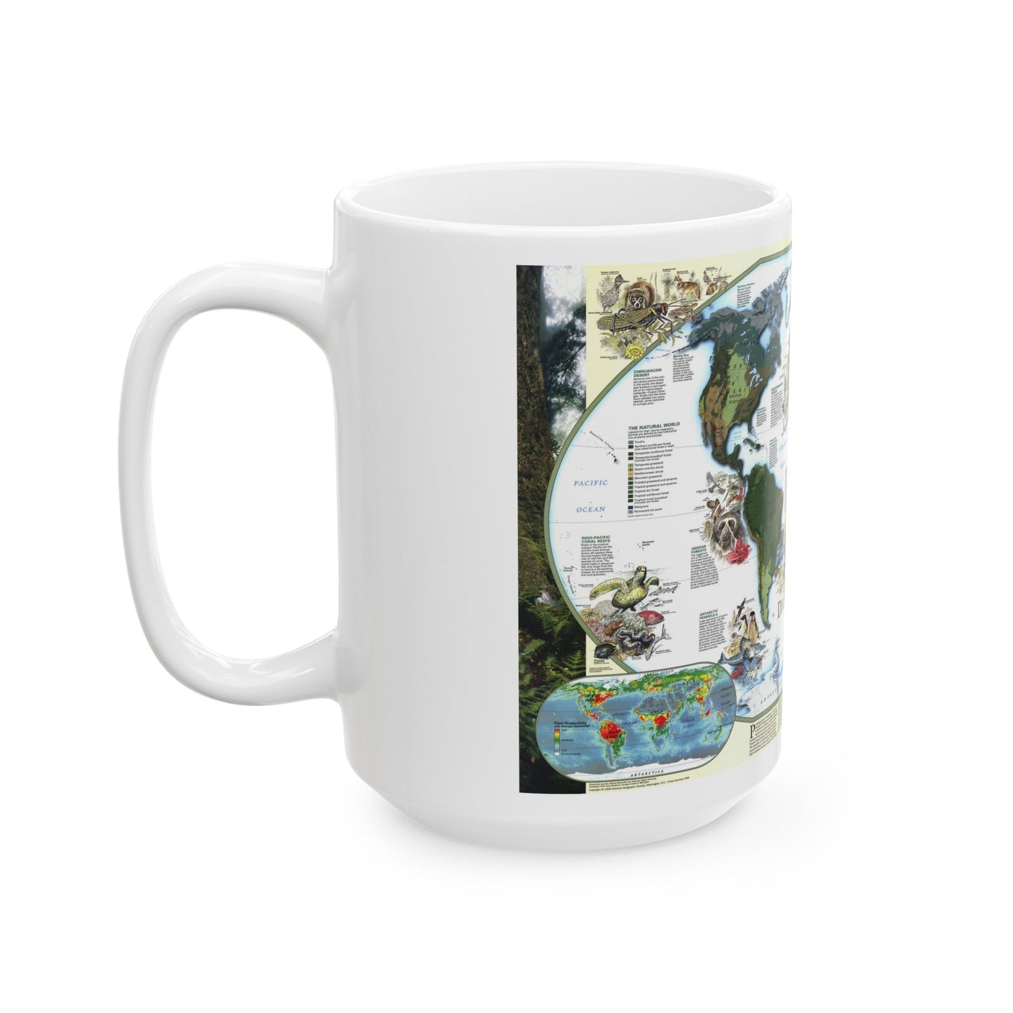 World Map - Diversity of Life (1999) (Map) White Coffee Mug-The Sticker Space