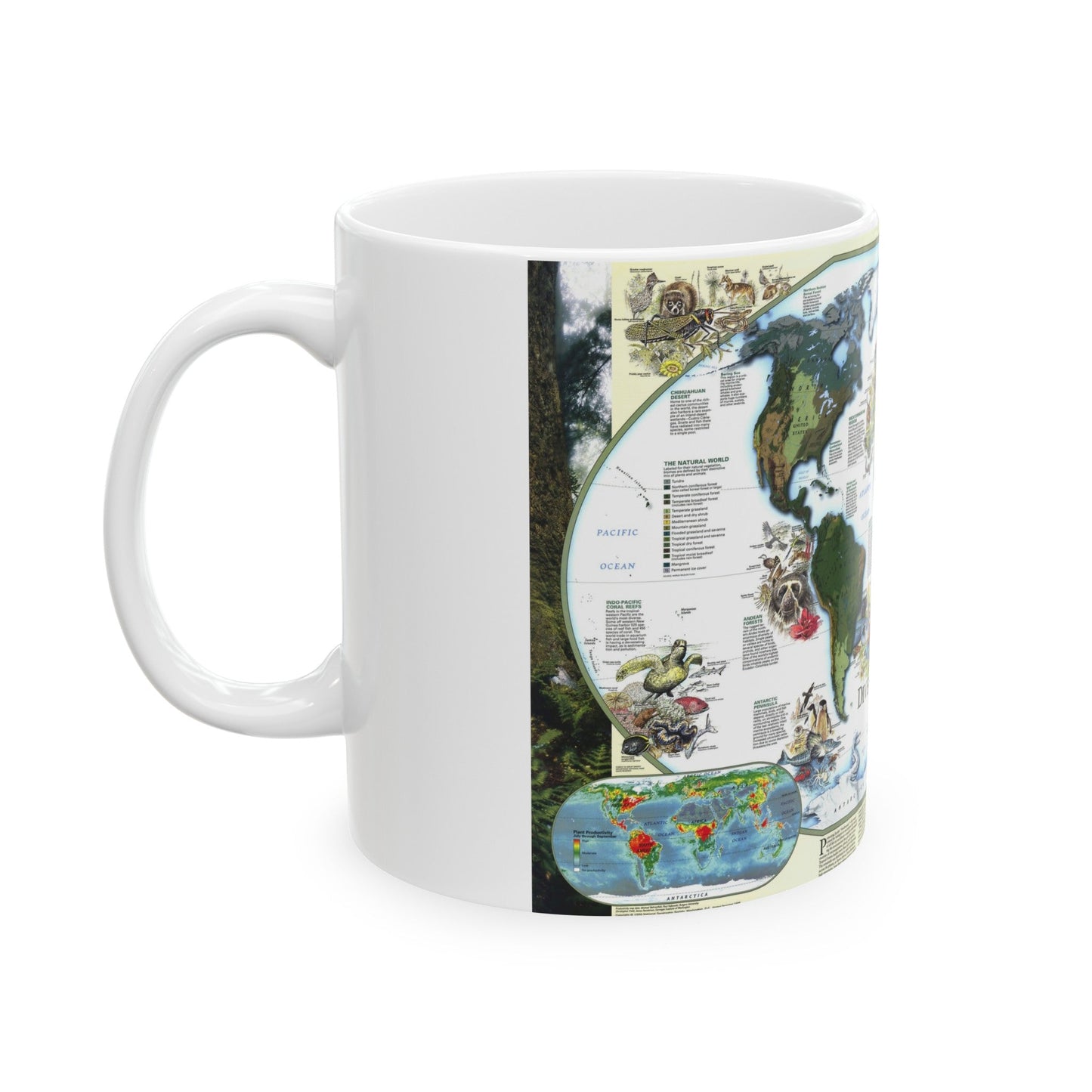 World Map - Diversity of Life (1999) (Map) White Coffee Mug-The Sticker Space