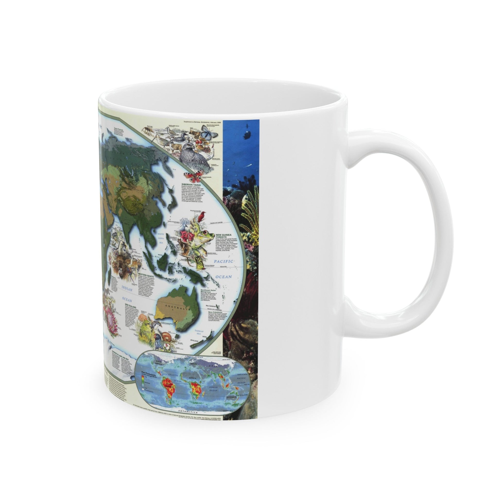 World Map - Diversity of Life (1999) (Map) White Coffee Mug-The Sticker Space