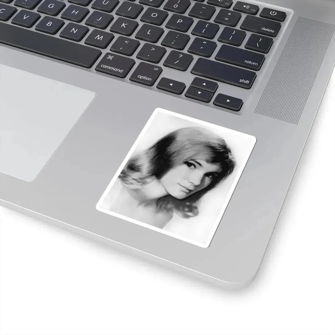 Yvette Mimieux #80 (Vintage Female Icon) STICKER Vinyl Kiss-Cut Decal - The Sticker Space