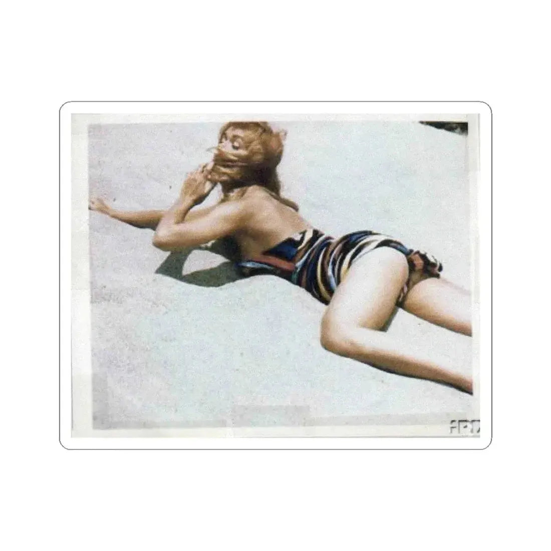 Yvette Vickers #17 (Vintage Female Icon) STICKER Vinyl Kiss-Cut Decal 6 Inch White - The Sticker Space