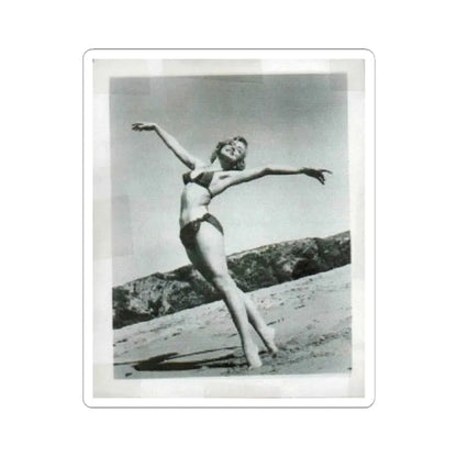 Yvette Vickers #19 (Vintage Female Icon) STICKER Vinyl Kiss-Cut Decal 2 Inch White - The Sticker Space