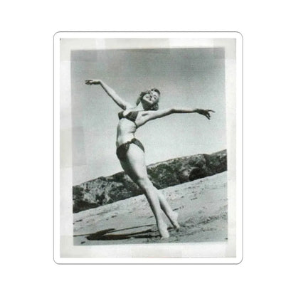 Yvette Vickers #19 (Vintage Female Icon) STICKER Vinyl Kiss-Cut Decal 6 Inch White - The Sticker Space