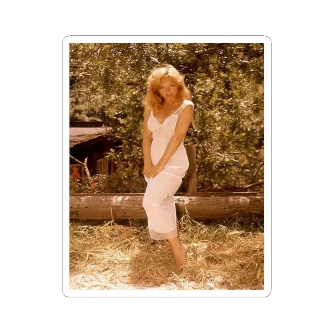 Yvette Vickers #36 (Vintage Female Icon) STICKER Vinyl Kiss-Cut Decal 2 Inch White - The Sticker Space