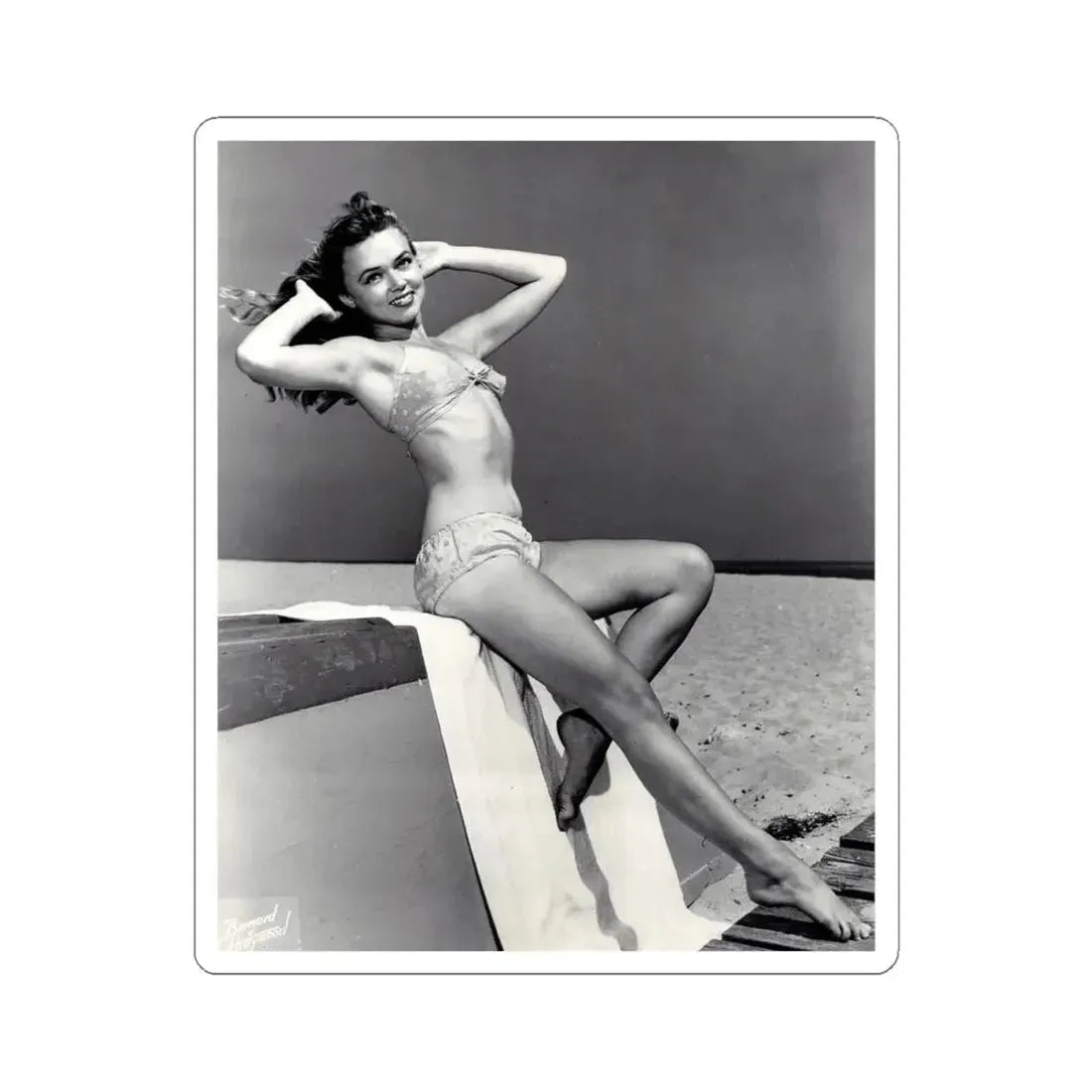 Yvette Vickers #40 (Vintage Female Icon) STICKER Vinyl Kiss-Cut Decal 4 Inch White - The Sticker Space