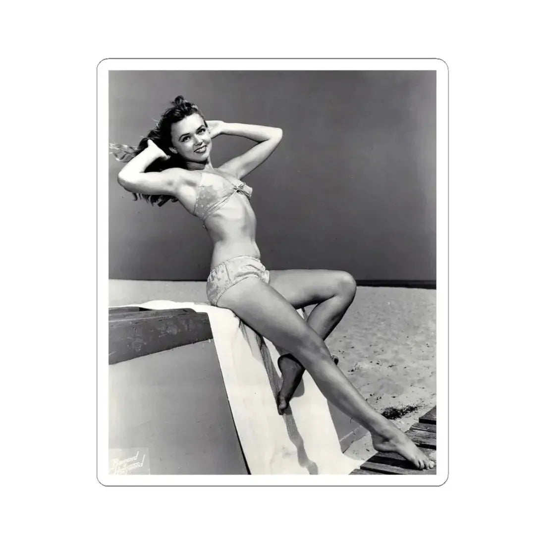 Yvette Vickers #40 (Vintage Female Icon) STICKER Vinyl Kiss-Cut Decal 6 Inch White - The Sticker Space