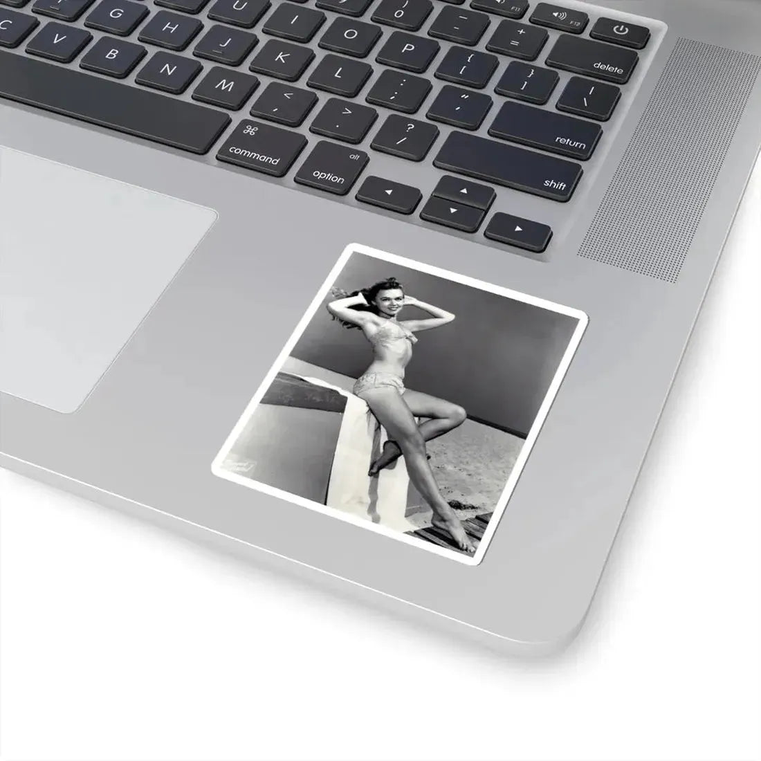 Yvette Vickers #40 (Vintage Female Icon) STICKER Vinyl Kiss-Cut Decal - The Sticker Space