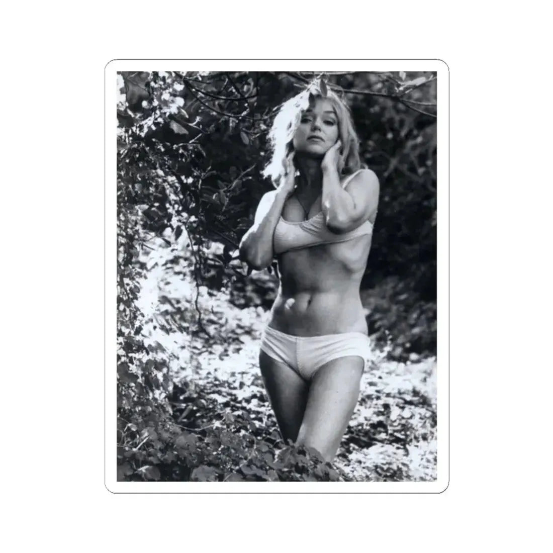 Yvette Vickers #62 (Vintage Female Icon) STICKER Vinyl Kiss-Cut Decal 2 Inch White - The Sticker Space