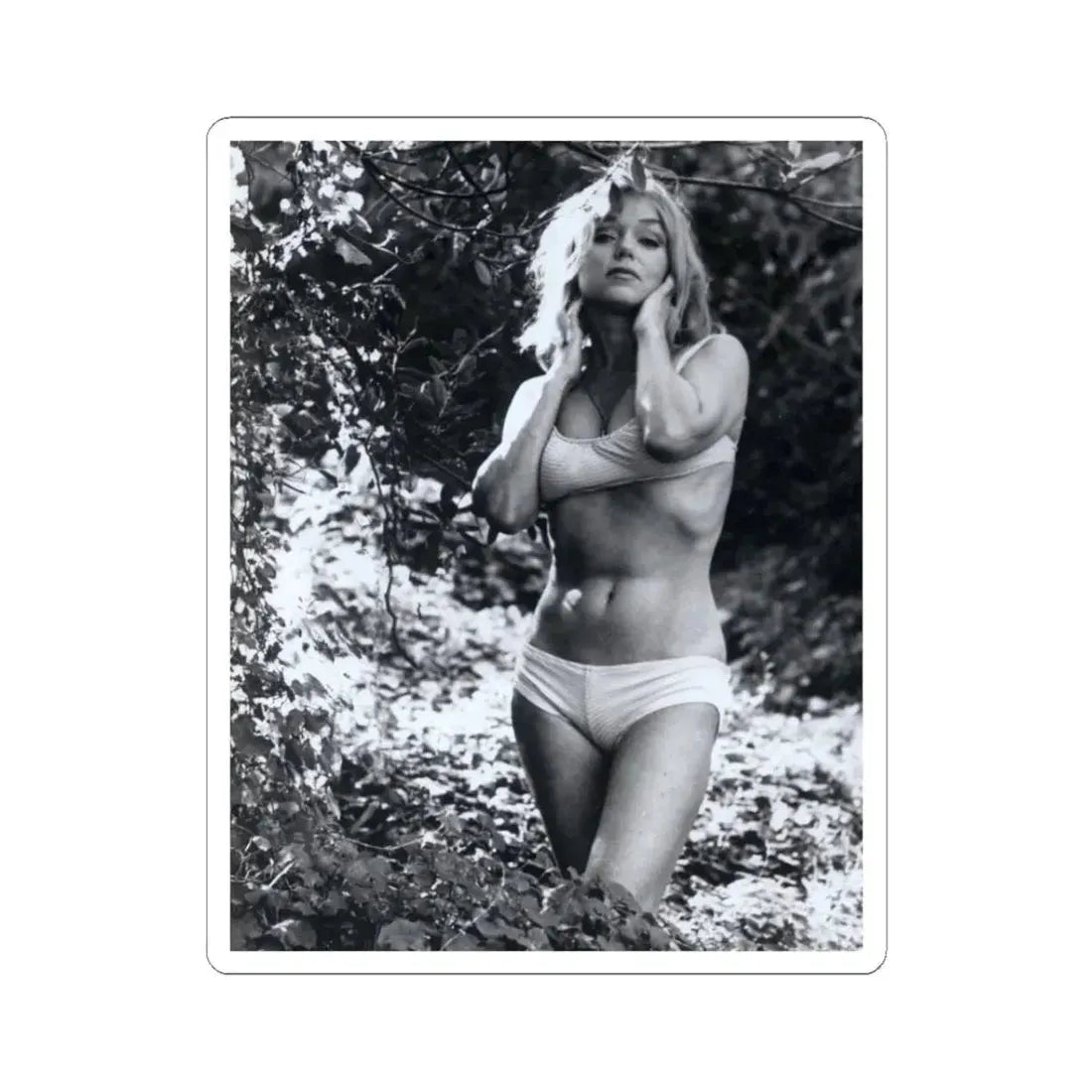 Yvette Vickers #62 (Vintage Female Icon) STICKER Vinyl Kiss-Cut Decal 3 Inch White - The Sticker Space