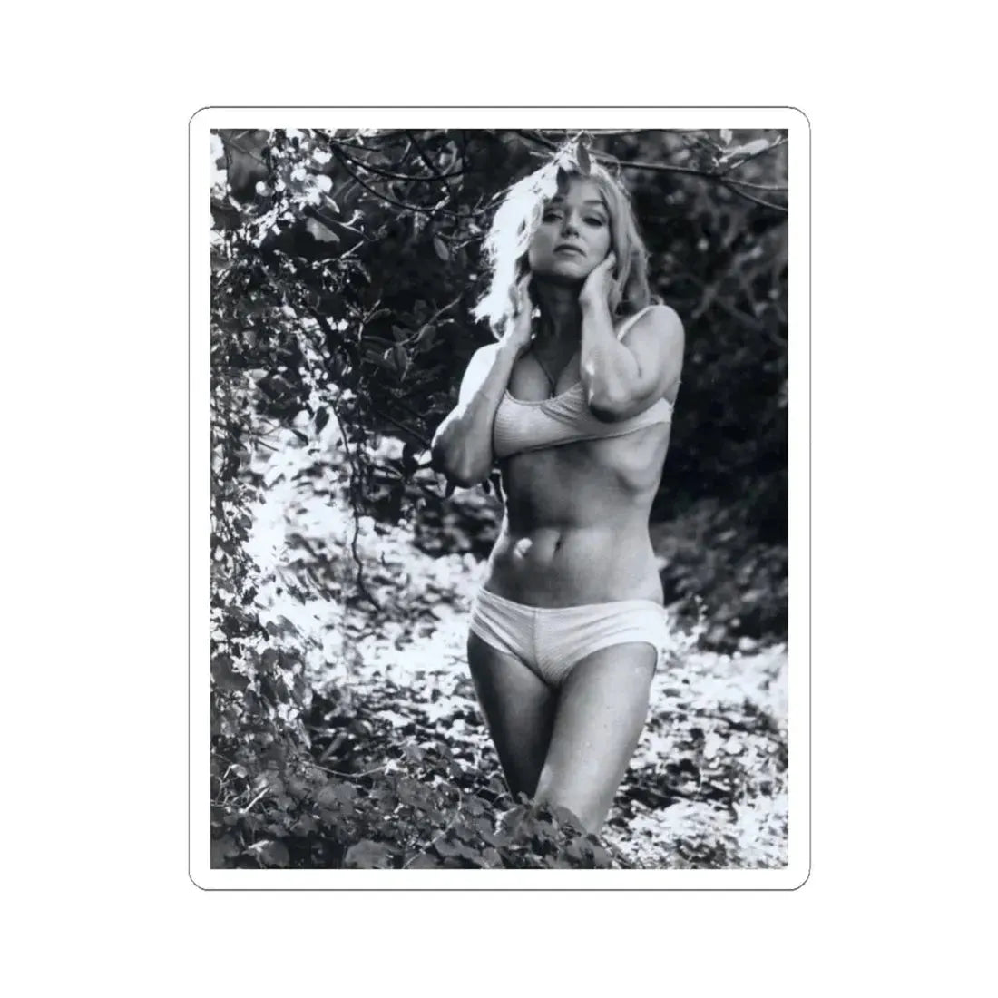 Yvette Vickers #62 (Vintage Female Icon) STICKER Vinyl Kiss-Cut Decal 4 Inch White - The Sticker Space