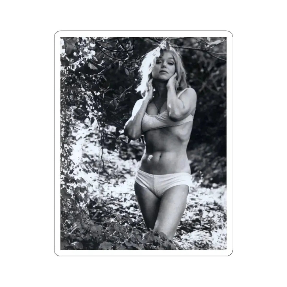 Yvette Vickers #62 (Vintage Female Icon) STICKER Vinyl Kiss-Cut Decal 6 Inch White - The Sticker Space